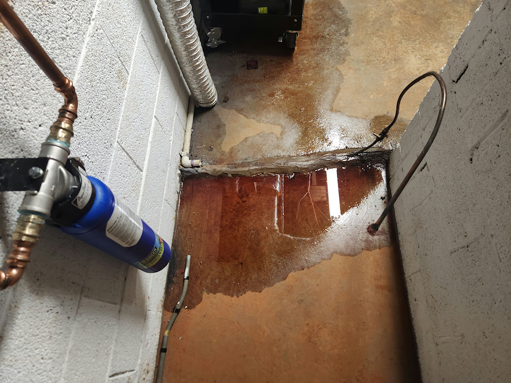 Oil was also leaking from the fuel lines connected to the tank Oil was also leaking from the fuel lines connected to the tank